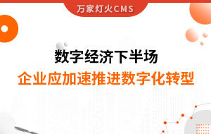 數(shù)字經(jīng)濟下半場，企業(yè)應加速推進數(shù)字化轉型