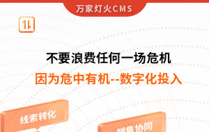 不要浪費任何一場危機，因為危中有機--數(shù)字化投入