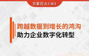 跨越數(shù)據(jù)到增長(zhǎng)的鴻溝，助力企業(yè)數(shù)字化轉(zhuǎn)型